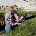 agriculture et PME